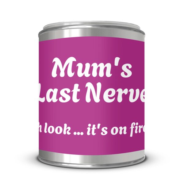 Mum's Last Nerve oh look it's on fire, Paint Can Scented Candles, 2 Sizes - Image 4
