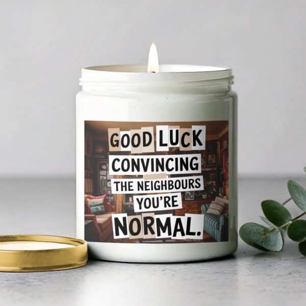 Good Luck Convincing The Neighbours You're Normal Candle, Humorous Candle Gift, Unique Home Decor - Image 2