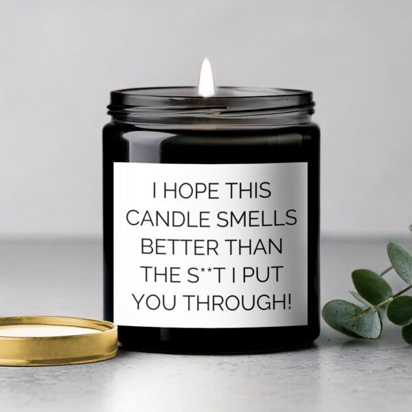 Funny Scented Candle, Hope This Candle Smells Better Than The Shit I Put You Through, Humorous Candle Gift - Image 5