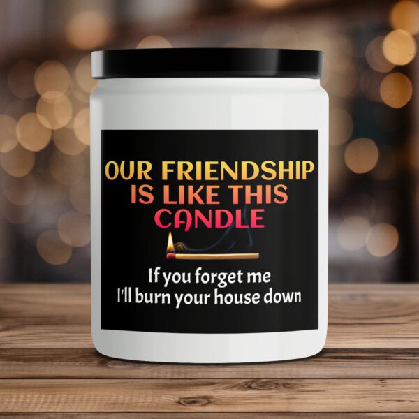 Funny Scented Candle, Unique Friendship Gift, Quirky Candle for Friends
