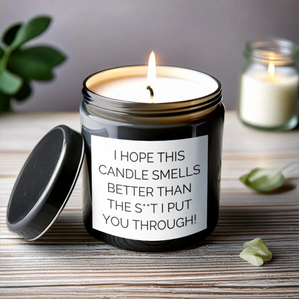 Funny Scented Candle, Hope This Candle Smells Better Than The Shit I Put You Through, Humorous Candle Gift - Image 6