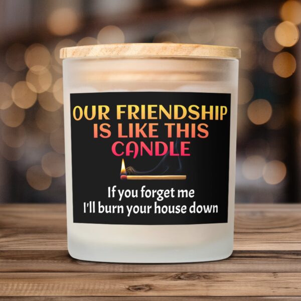 Funny Friendship Quote Frosted Glass Scented Candles