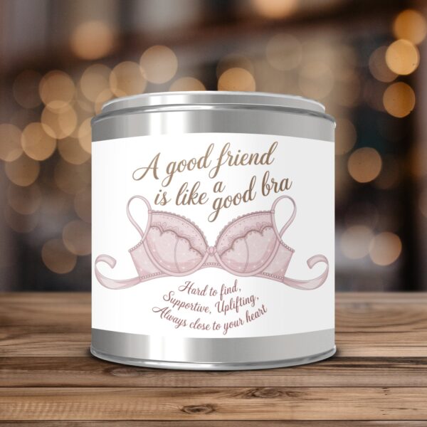 A Good Friend Is Like a Good Bra, Friendship Gift, Paint Can Scented Candles, 2 Sizes
