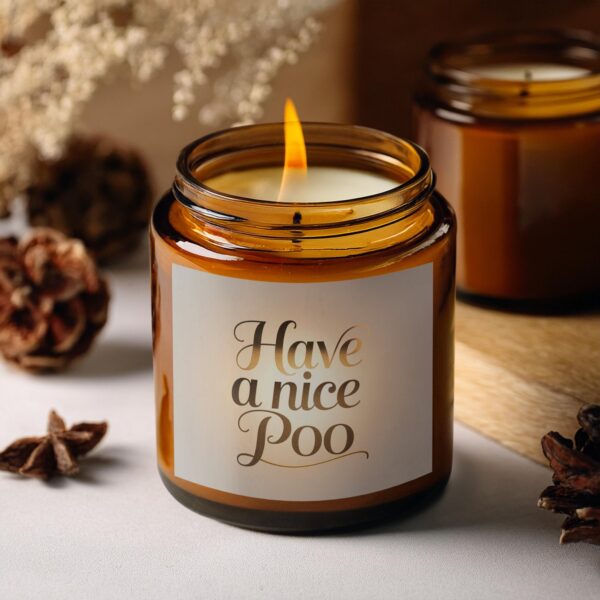 Enjoy Your Space with Have a Nice Poo, Amber Jar Scented Candles, 2 Sizes - Image 5