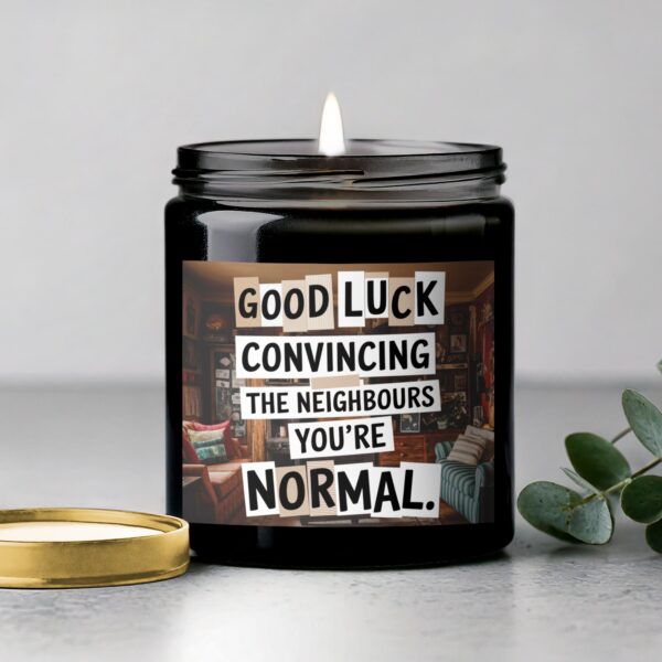 Good Luck Convincing The Neighbours You're Normal Candle, Humorous Candle Gift, Unique Home Decor - Image 5